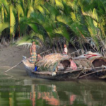 Sundarban Trip Guide: Experience Nature, Wildlife, and River Adventures Like Never Before
