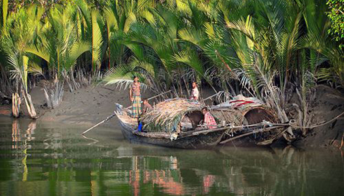Sundarban travels